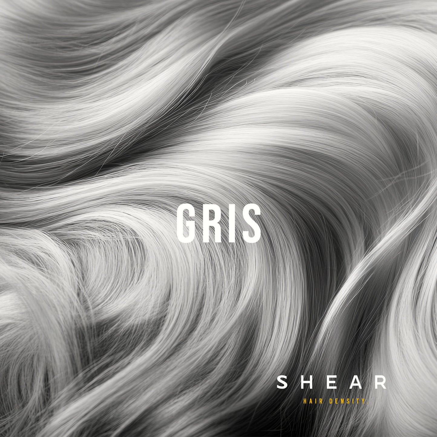 Poudre Retouche Racine Capillaire (1 achetée = 1 offerte)